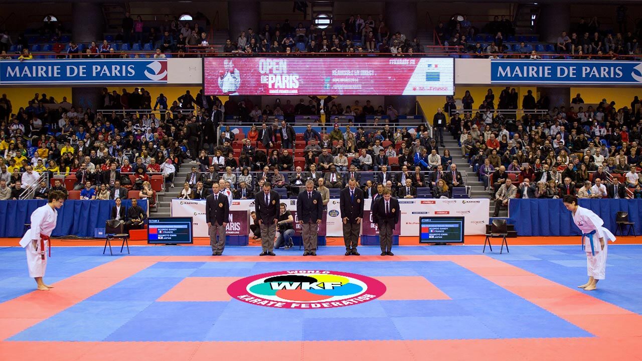 Всемирная федерация каратэ